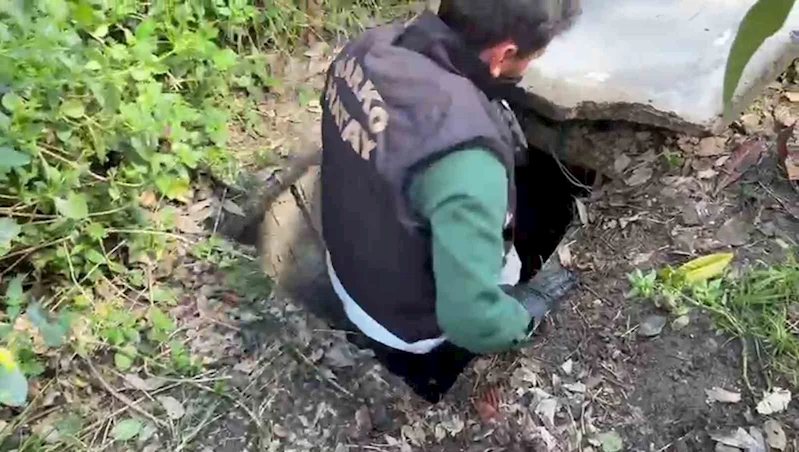 Sığınakta kurduğu sistemle kenevir yetiştirdi
